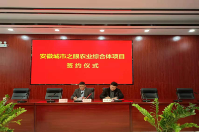 安成鎮(zhèn)參加安徽城市之眼農(nóng)業(yè)綜合體項目簽約儀式，攜手推動新材料技術(shù)推廣服務(wù)賦能現(xiàn)代農(nóng)業(yè)