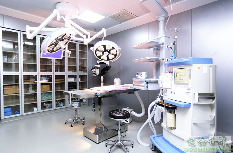 安安寵醫(yī)榮獲首屆“2018美團(tuán)點(diǎn)評(píng)年度寵物人氣商戶”稱號(hào)